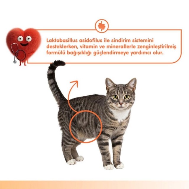 Wanpy Digestive Health Somon Balığı ve Tavuklu Krema Kedi Ödülü 5x14gr