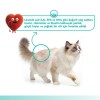 Wanpy Skin&Coat Ton Balığı ve Somonlu Krema Kedi Ödülü 5x14gr