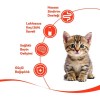 Wanpy Somonlu Yavru Kedi Krema Ödülü 5×14gr