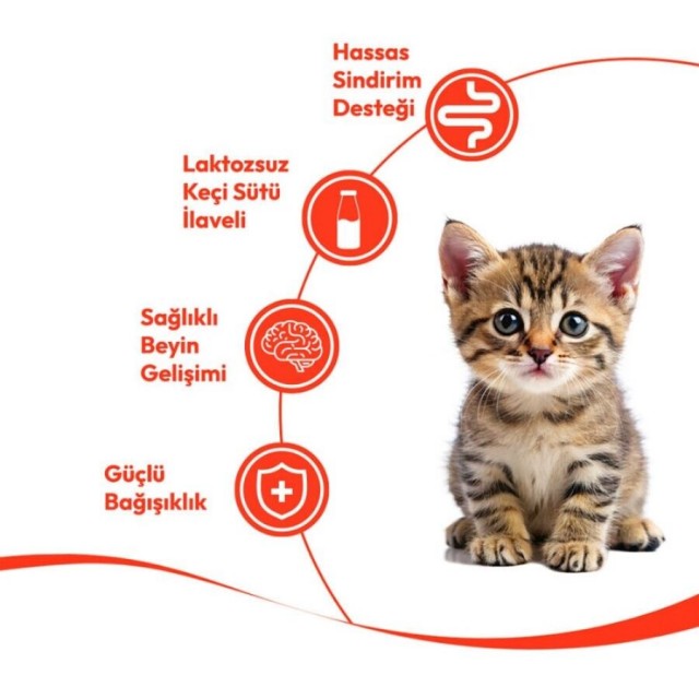Wanpy Somonlu Yavru Kedi Krema Ödülü 5×14gr
