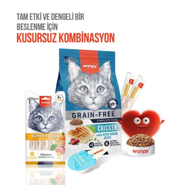 Wanpy Superfood Balkabağı ve Kara Lahanalı Krema Kedi Ödülü 5×14gr