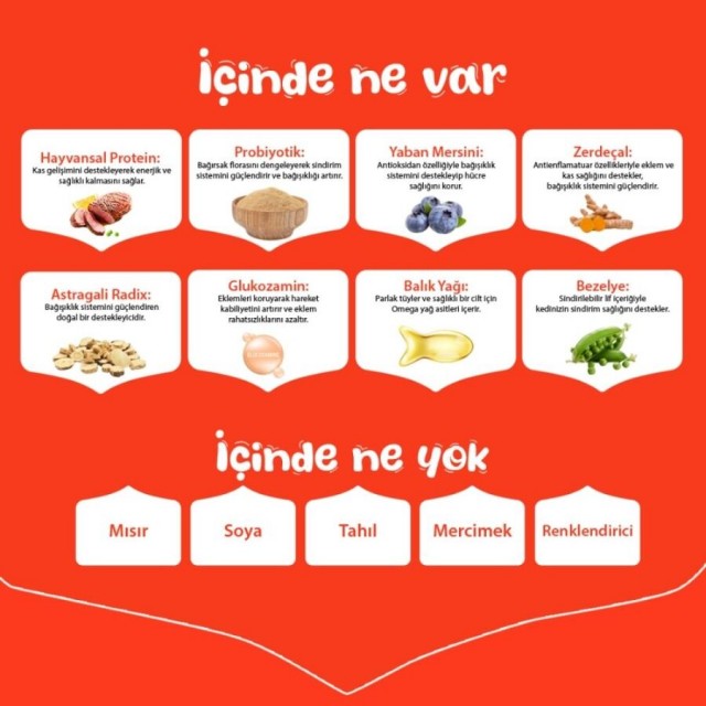 Wanpy Tahılsız Ördekli Yetişkin Köpek Maması 12kg