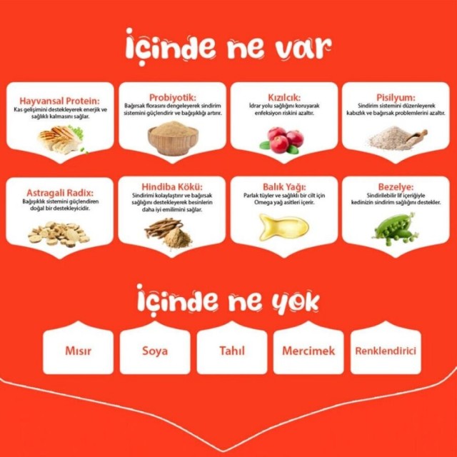 Wanpy Tahılsız Somon ve Tuna Balıklı Kısırlaştırılmış Kedi Maması 8kg