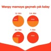 Wanpy Tahılsız Somon ve Tuna Balıklı Kısırlaştırılmış Kedi Maması 8kg