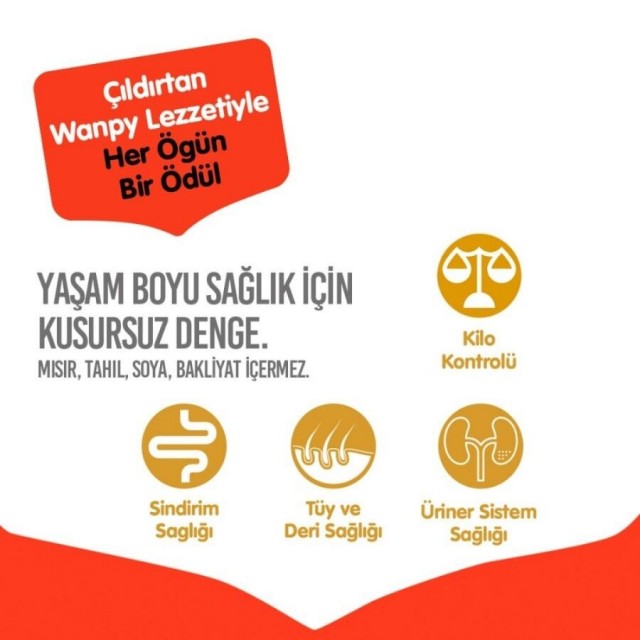Wanpy Tahılsız Somonlu Yetişkin Kedi Maması 8kg