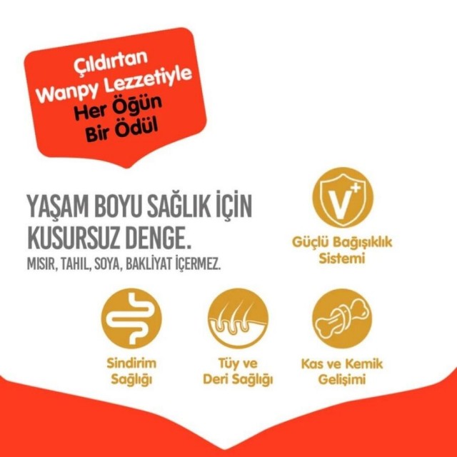 Wanpy Tahılsız Tavuklu Yavru Köpek Maması 12kg
