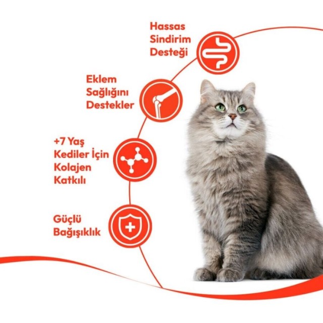 Wanpy Tavuklu ve Ciğerli 7+ Yaş Kedi Krema Ödülü 5×14gr