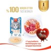 Wanpy Ton Balıklı 7+ Yaş Kedi Krema Ödülü 5×14gr