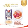 Wanpy Ton Balıklı ve Kızılcıklı Kısırlaştırılmış Kedi Krema Ödülü 5×14gr