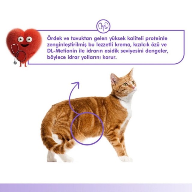 Wanpy Urinary Care Ördekli ve Tavuklu Krema Kedi Ödülü 5x14gr